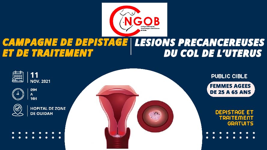 Dépistage des cancers gynécologiques et traitement des lésions précancéreuses du col de l’utérus dans deux départements du Bénin